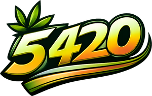5420